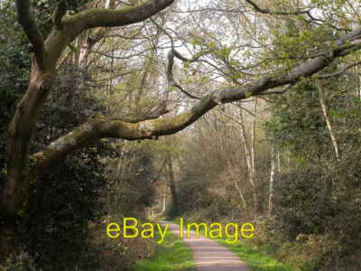 Photo 6x4 A footpath, Southampton Common  c2007