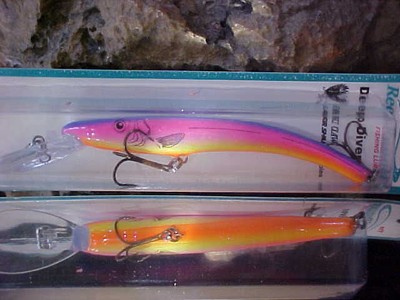 Reef Runner 800-14 Series Deep Cast/Troll Lure for Trout/Bass/Walleye/Salmon  