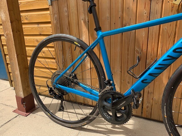 canyon endurance bike