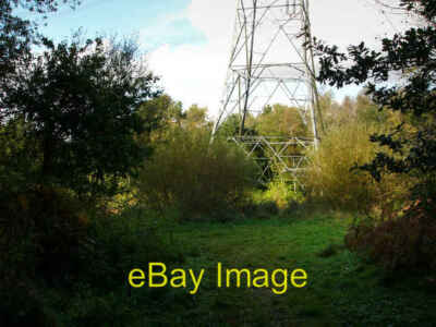 Photo 6x4 Pylon in Creech Woods Anthill Common  c2008