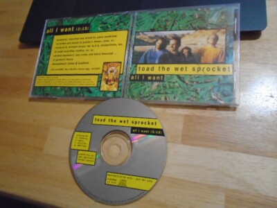 RARE PROMO Toad the Wet Sprocket CD All I Want remix 1992 GLEN PHILLIPS Lapdog !