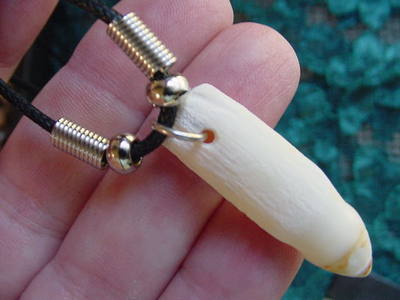 G152-S) 1-1/4'' GATOR Aligator ALLIGATOR Silver Tooth teeth black NECKLACE gator