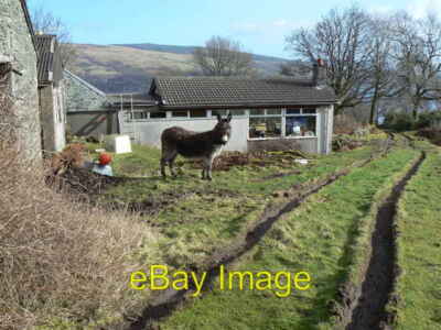 Photo 6x4 Kilcreggan- Barremman, Gare Loch Forestry Track Clynder A welco c2007