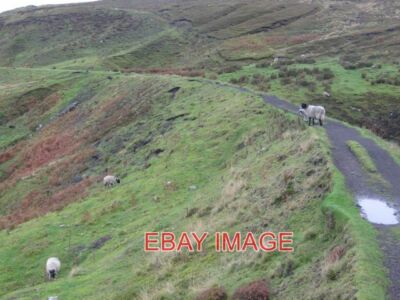 PHOTO  EMBANKMENT ON THE OLD TRAMWAY CARRIES THE TRACK ACROSS GEORGE GAP. 2011