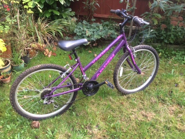 hercules brut plus zx cycle