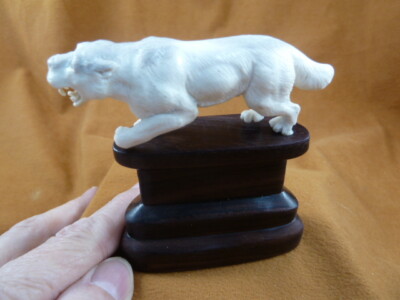 (saber-4) wild sabertooth Tiger cat made of shed Moose antler figurine Bali
