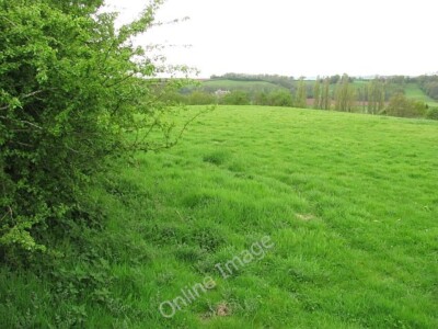Photo 6x4 Teme Valley grassland Rochford/SO6268 Grass growing well after c2010
