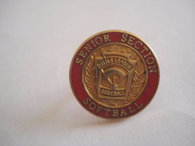 PINS RARE VINTAGE SENIOR SECTION SOFTBALL BASEBALL SPORT wxc 32