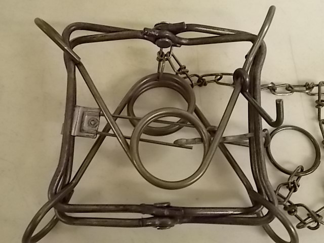 1 DOZ DUKE 120 BODY GRIP ANIMAL TRAP TRAPS TRAPPING MINK MUSKRAT MARTIN FISHER