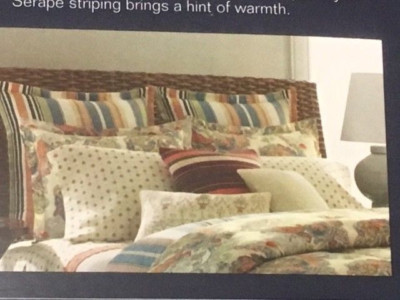 Chaps Home Euro Pillow Sham - Coral Sands