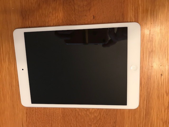 Apple iPad Mini Model A1455 First Generation WiFi and Cellular Verizon-UNLOCKED