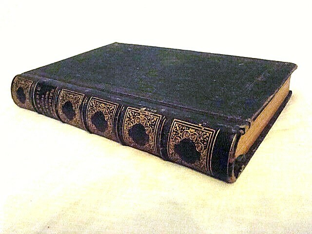 Histoire D'Un Ã©Colier 