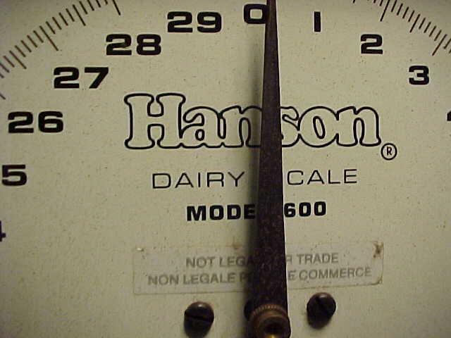 Vintage Hanson Dairy Scale Model 600 Hanging Spring Scale 60 lb Capacity
