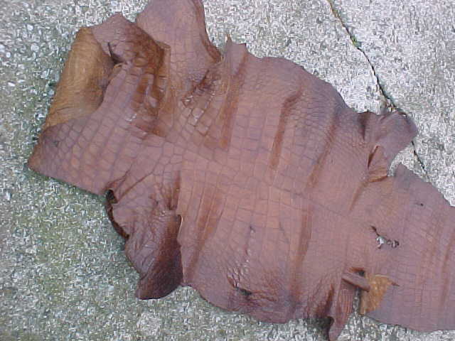 VINTAGE MEDIUM BROWN  ALLIGATOR SKIN 77