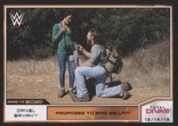 2014 Topps WWE Road to Wrestlemania - Brie Bella Daniel Bryan #63