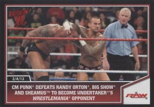 CMパンク 直筆サイン フォト 2025WWE日本公演公式グッズ CM PUNK CM Punk Signed Official (11x14) Best In The World Autographed WWE