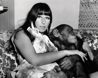 Cher poses with monkey chimpanzee & unicorn 1967 Good Times 24x36 inch poster