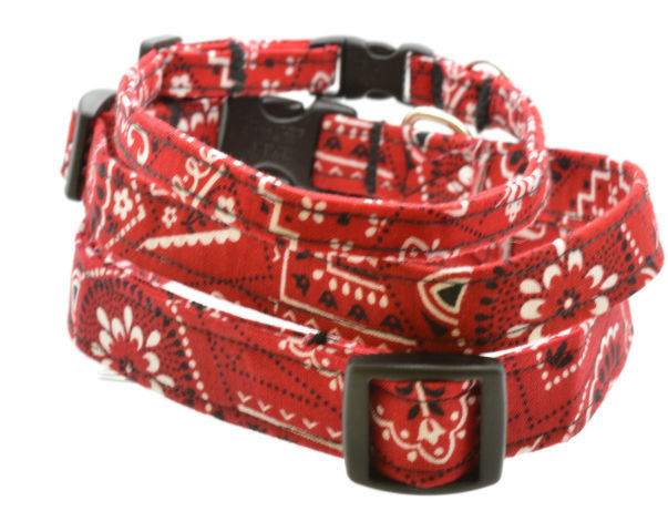 Fabric Dog Collars
