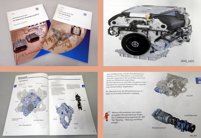 SSP 303 + 304 VW Touareg Phaeton Motor V10 TDI AYH AJS EDC Pumpe Düse