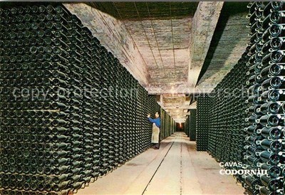 Alkohol Sekt Champagner Cavas Codorniu Botellas