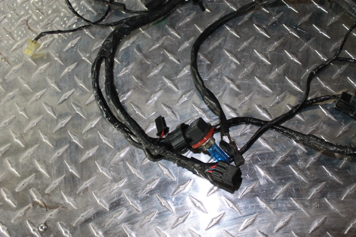 06-07 Kawasaki ZX10R ZX10 MAIN ENGINE WIRING HARNESS MOTOR WIRE LOOM | eBay