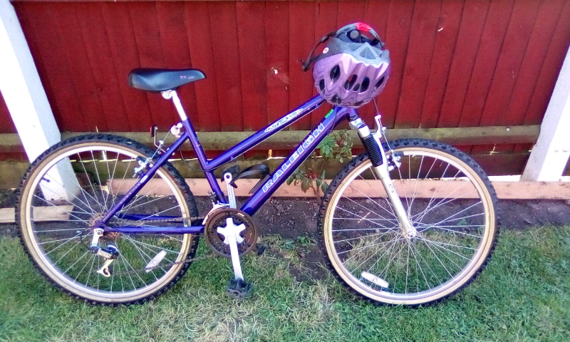 raleigh max mountain bike review