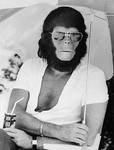 mr-monkeybiz