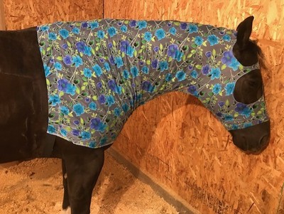Stable Care Grooming Sleazy