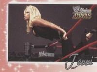 2003 Fleer WWE Divine Divas - Terri Runnels #63