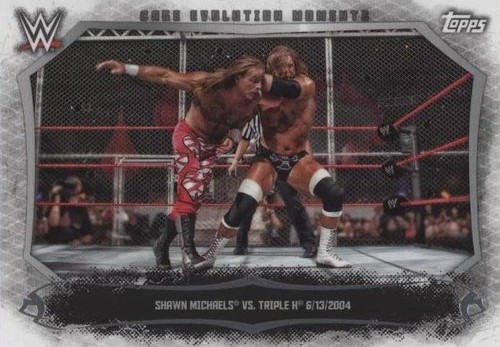 2015 Topps WWE Undisputed - Shawn Michaels Triple H #CEM-17