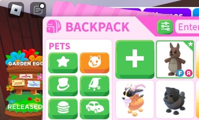    FR FULL GROWN KANGAROO   CHEAP    