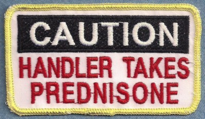 CAUTION HANDLER TAKES PREDNISONE service dog vest patch