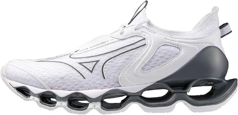 MIZUNO Running Shoes WAVE PROPHECY 14 J1GC2551 White Silver