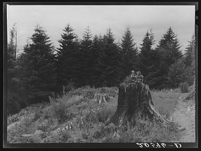 Elma,Washington,WA,Grays Harbor County,Farm Security Administration,FSA,2