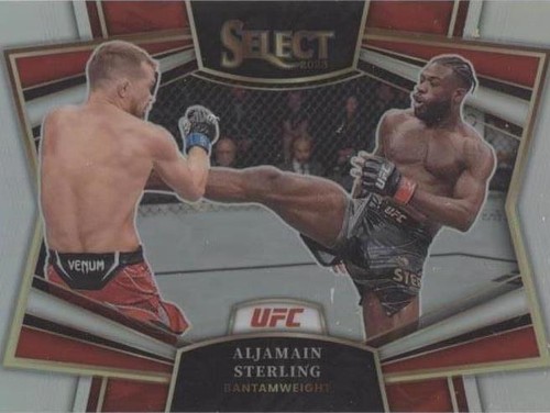 2023 #29 Luana Pinheiro Panini Select UFC Concourse Level