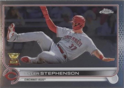 その他 Stephenson 2024 TOPPS SERIES 2 Tyler Stephenson True Photo Variation SP