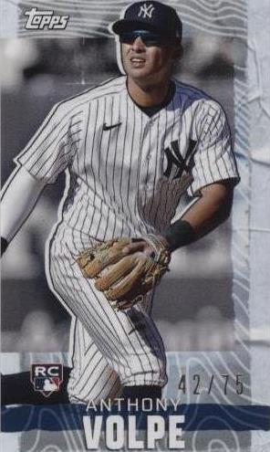 2023 Topps Rip - Anthony Volpe #MRIP-AV