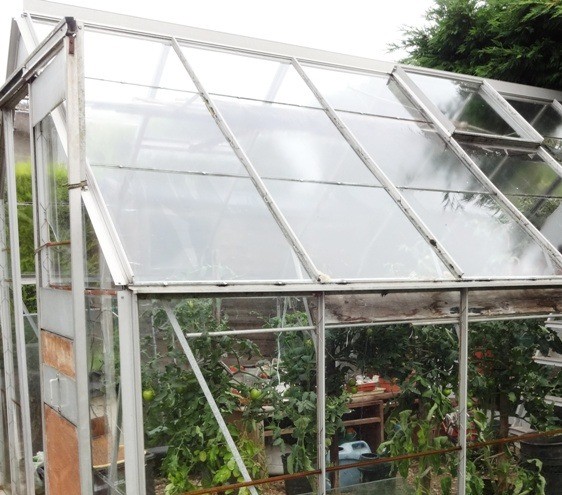 Greenhouse glass panels, FREE TO COLLECT | in Portishead, Bristol | Gumtree