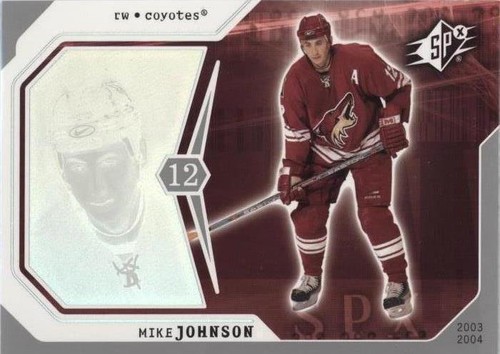 2003-04 SPx - Mike Johnson #76