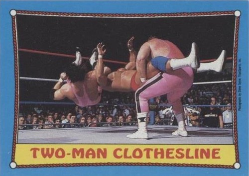 1987 Topps WWF - Bret Hart Jim Neidhart #22