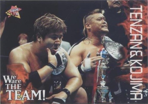 Hiroyoshi Tenzan 2007-08 BBM New Japan Pro Wrestling #27 | eBay