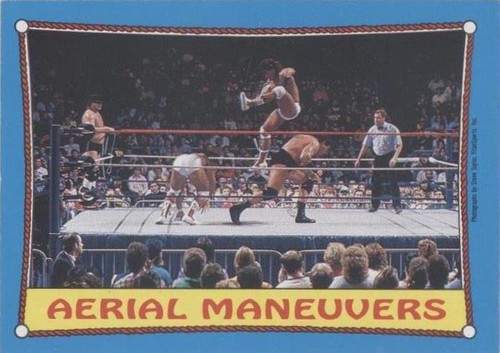 1987 O-Pee-Chee WWF - Can-Am Connection #61