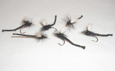 SIZES AVAILABLE DRY FLIES TROUT 1 DZ D16-7 CDC ADULT CADDIS BLACK/'S