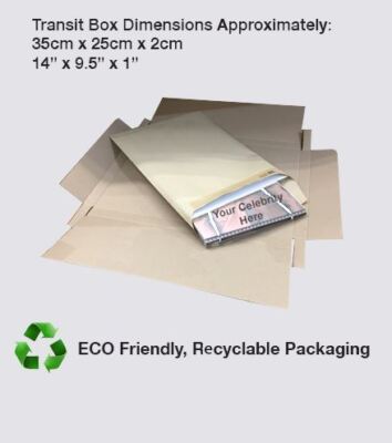 Ryan Ross (Jeans) Mini Size Cutout