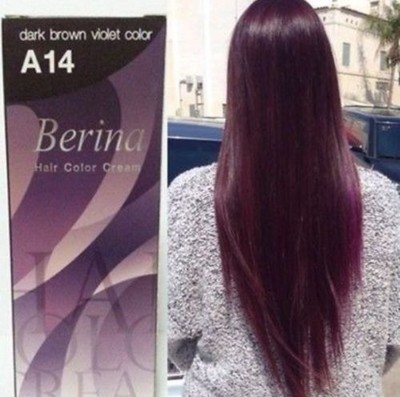 2 Set Of Berina A14 Dark Brown Violet Color Fashion Permanent
