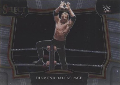 2023 Panini Select WWE - Diamond Dallas Page #290
