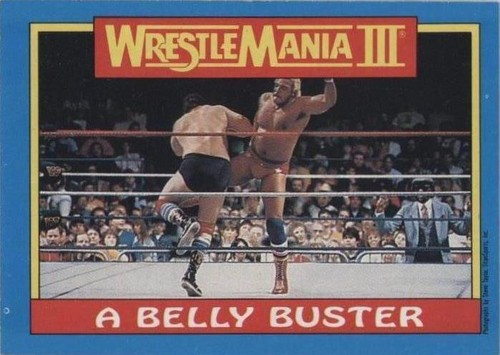 1987 Topps WWF - Butch Reed #49