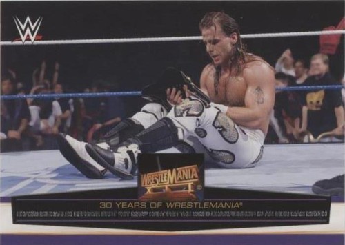 2014 Topps WWE Road to Wrestlemania - Bret Hart Shawn Michaels #24