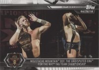 2019 Topps WWE NXT - Moustache Mountain Undisputed Era #36