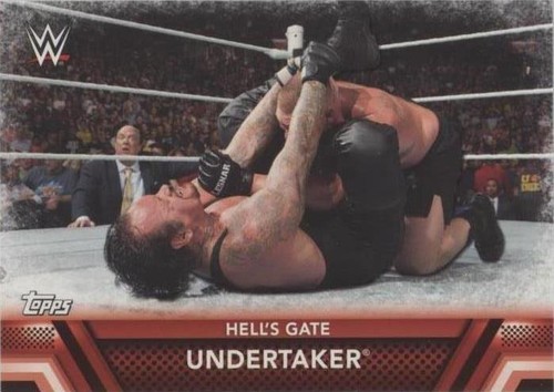 2017 Topps WWE Then Now Forever - Undertaker #F-13